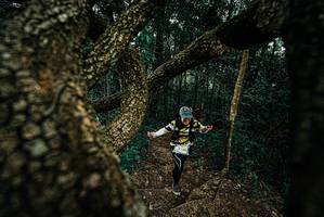 BIB: 
                            <button type="button" onclick="openModal(25697906)" class="btn btn-primary btn-sm float-right btn-popup" data-toggle="modal" data-target=".modal-high-quality">
                        <i class="fas fa-shopping-cart"></i> Add to Cart
                    </button>
                                            <button type="button" onclick="isThisMe(25697906, true)" class="btn btn-success btn-sm float-right btn-popup btn-isme hidden" data-toggle="tooltip" data-placement="bottom" title="นี่คือรูปของคุณใช่ไหม คลิกที่นี่เพื่อเอาเข้าอัลบั้ม">
                        <i class="fas fa-plus"></i> Add to album
                    </button>
                    <button type="button" onclick="isThisMe(25697906, false)" class="btn btn-warning btn-sm float-right btn-popup btn-isnotme hidden">
                        <i class="fas fa-ban"></i> Remove from album
                    </button>